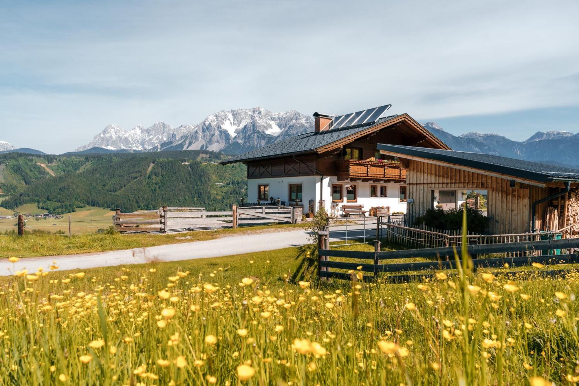 Spreitzhof - Appartements Schladming Zewnętrze zdjęcie